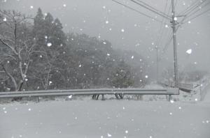 雪景色｜「すざき花店」　（長崎県五島市の花キューピット加盟店 花屋）のブログ