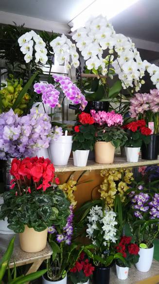 「すざき花店」　（長崎県五島市）の花屋店舗写真2